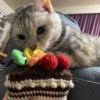 Thumbnail of related posts 106